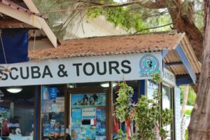 LINE_ALBUM_Scuba tour_240925_2